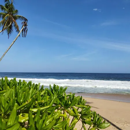 Tropical Garden Apartment Tangalle Exterior photo