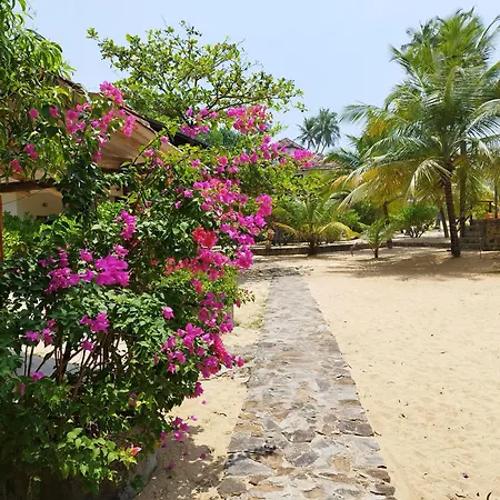 Tropical Garden Apartment Tangalle Exterior photo