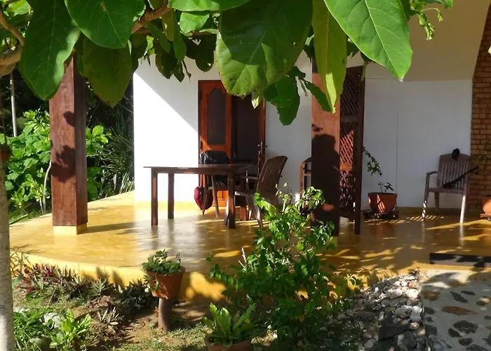 Tropical Garden