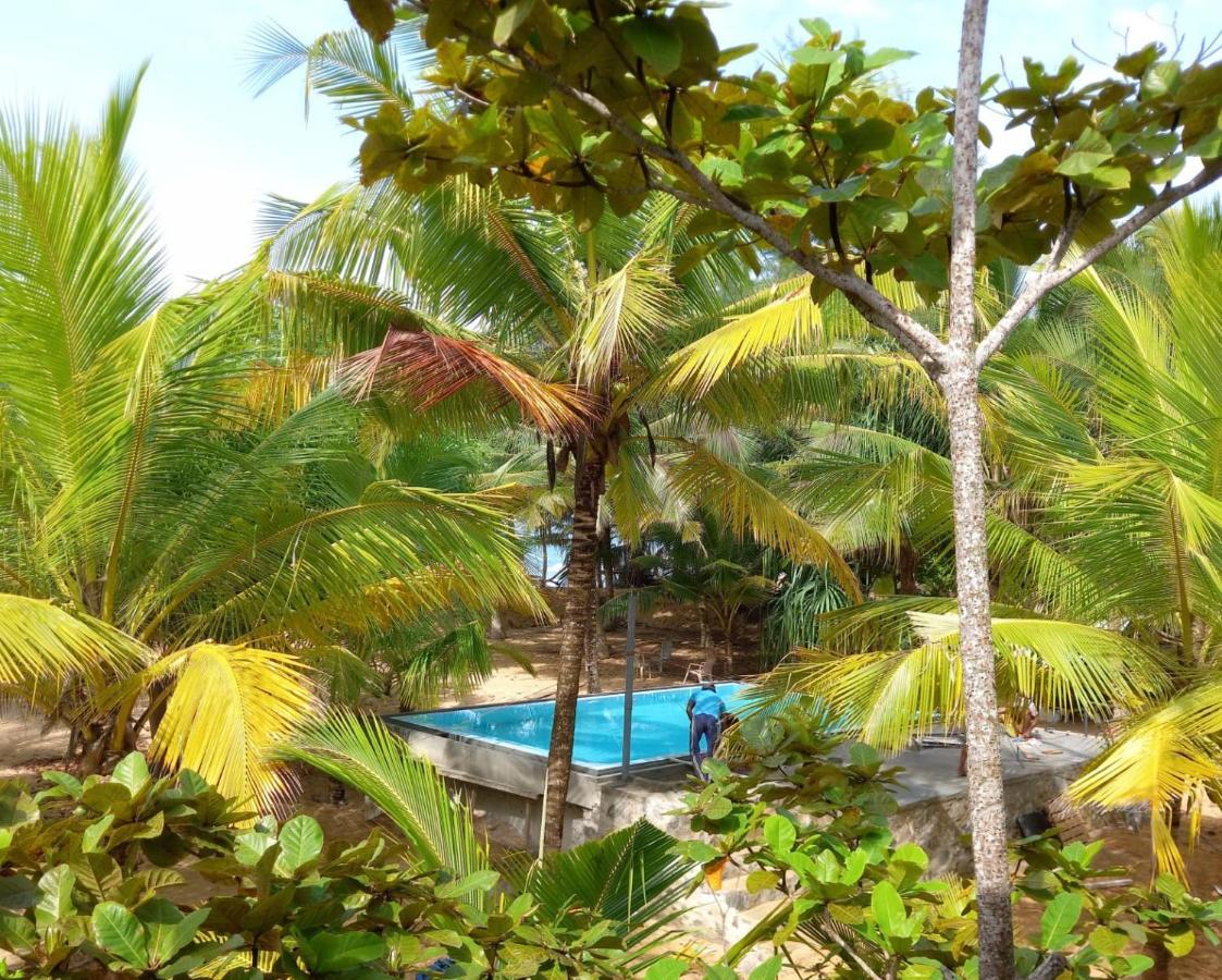 Séjour chez l'habitant Tropical Garden