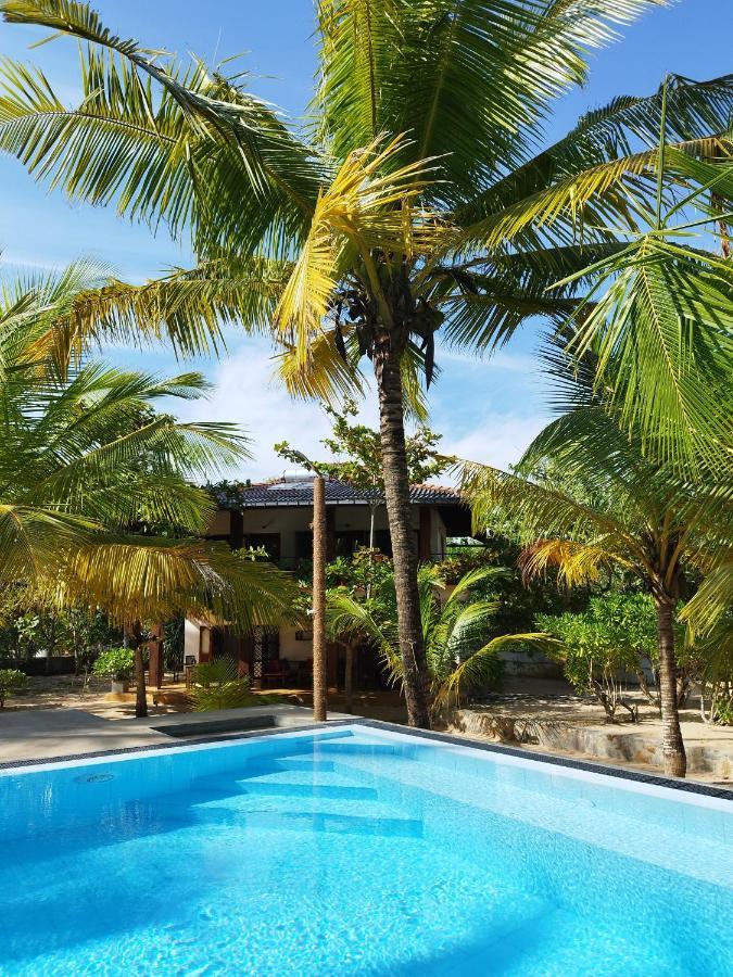 Tropical Garden *
