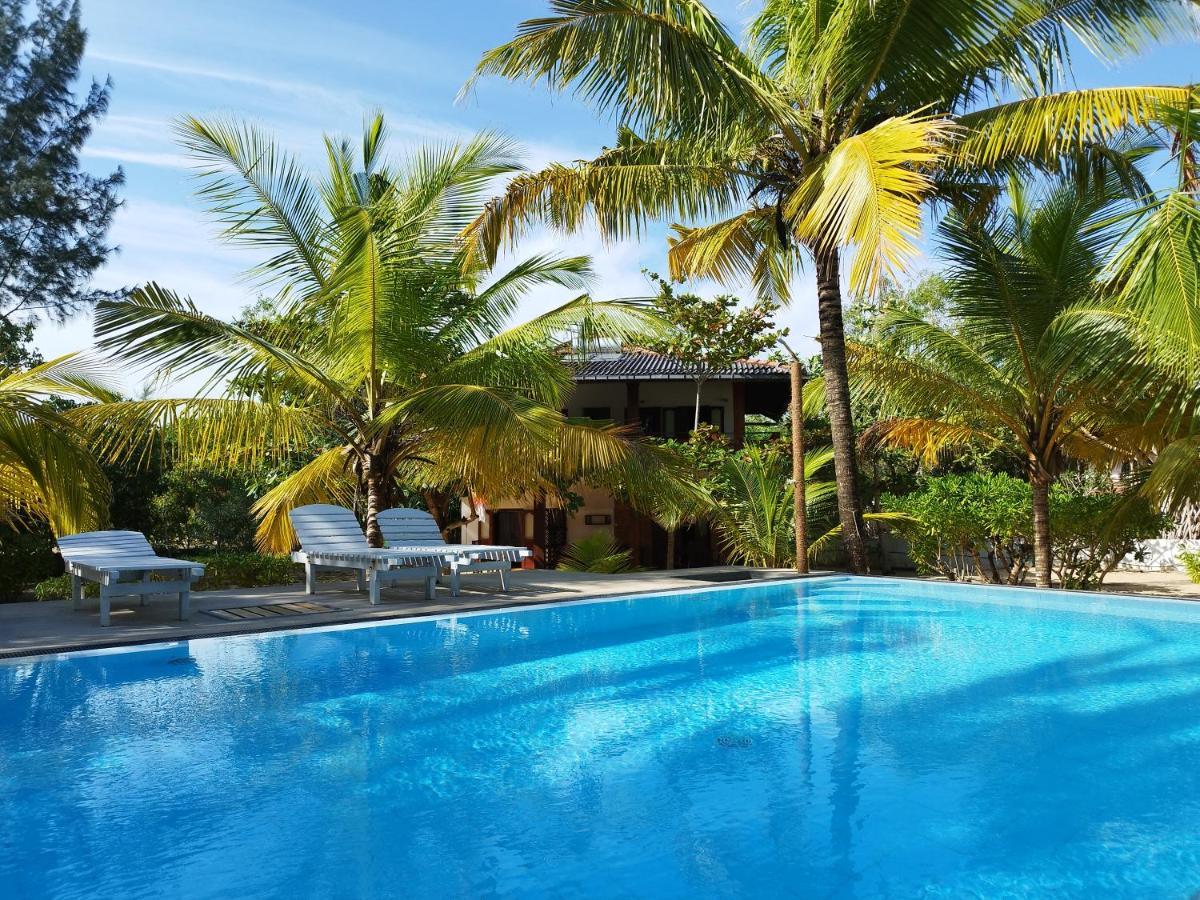 Tropical Garden