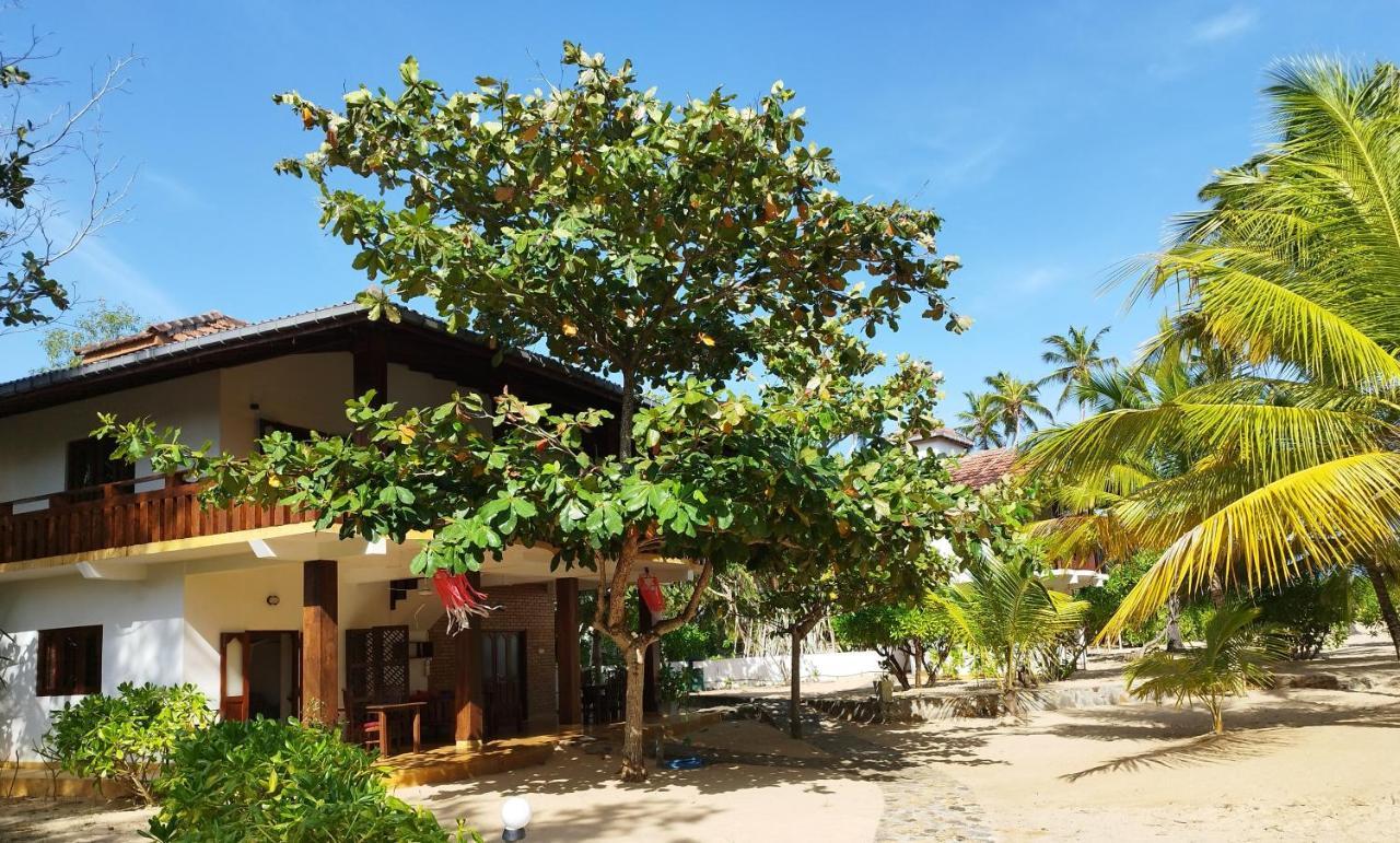 Tropical Garden Tangalle