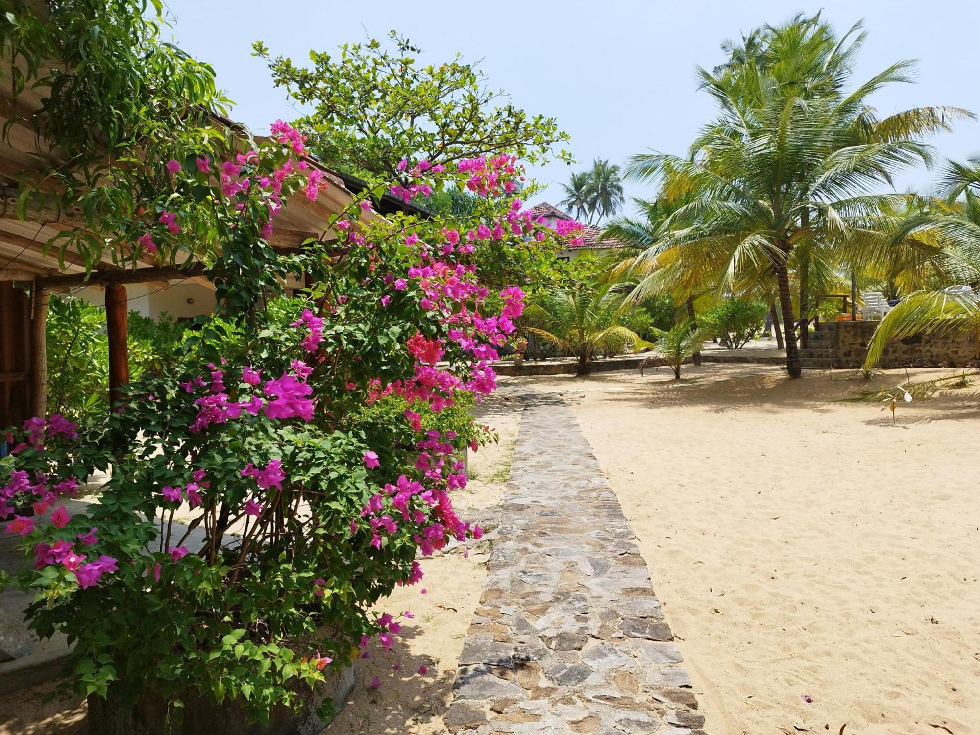 Tropical Garden * Tangalle